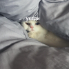 Яна Ведьмак