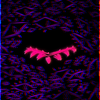 F-Fx-y