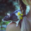 mrly