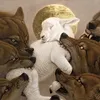 косей