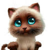 Kat_kat