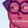Kulik_pank