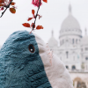 Torsun Duck