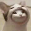2505644