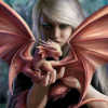xvostdracona