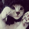 mysterious.buzzkil
