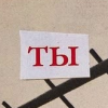 сибирский_друг