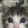 Джайзек_Эстебан_Картошка