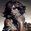 FALKE_529